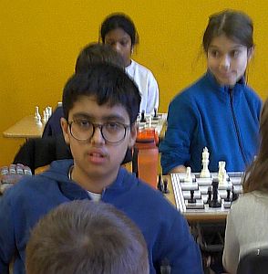 Bild